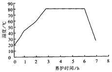 蒸汽養護溫度曲線