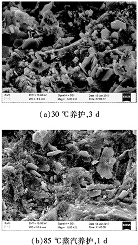 不同養(yǎng)護(hù)制度的混凝土內(nèi)部微觀結(jié)構(gòu)掃描電子顯微鏡圖像